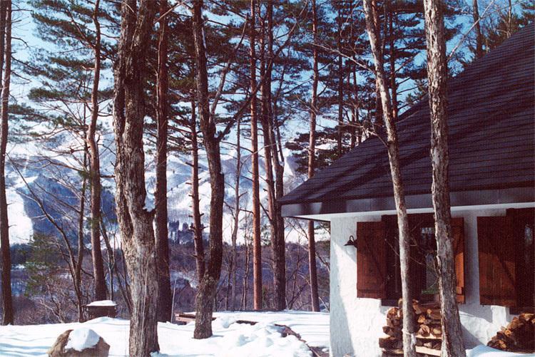 Earl Grey Hotel Hakuba Exterior foto